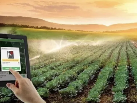 Hỗ trợ hợp tác xã tiếp cận, áp dụng các nền tảng số, công nghệ mới