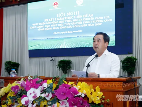 Tái định hình ngành lúa gạo Việt Nam: Hành trình xanh hóa và khát vọng phát triển bền vững