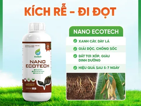 Chuyên gia đánh giá cao Nano Ecotech 1L – Bước tiến vượt trội trong giải pháp kích rễ cây trồng