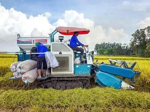 Bảo đảm lợi ích cốt lõi cho nông dân qua việc tăng cường thu mua lúa gạo trong bối cảnh hiện nay