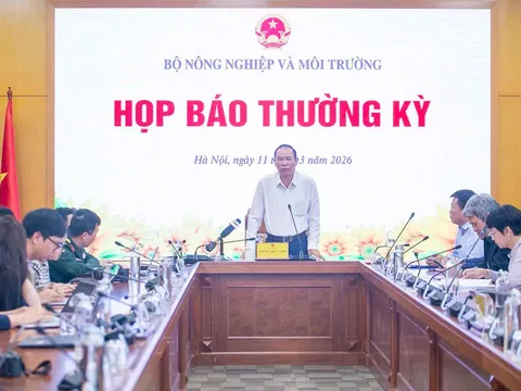 Giải pháp ổn định thị trường và đảm bảo lợi nhuận cho người nông dân trước áp lực giảm giá lúa gạo