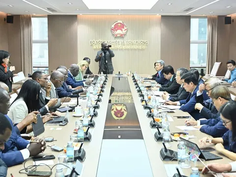 Zambia tìm kiếm động lực tăng trưởng mới từ mô hình phát triển nông nghiệp Việt Nam