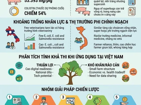 Một sức khỏe và bài toán kháng kháng sinh: Từ thực tiễn quốc tế đến chiến lược hành động tại Việt Nam