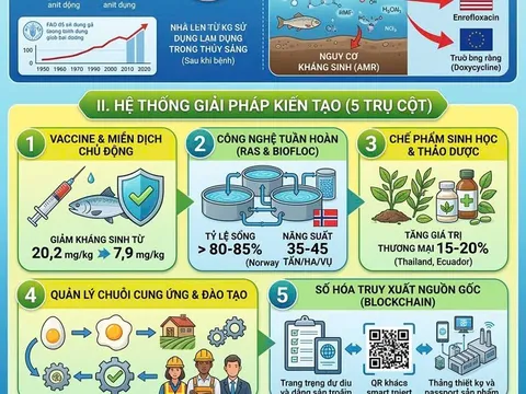 Hiện trạng và giải pháp kiểm soát kháng sinh trong nuôi trồng thủy sản tại Việt Nam