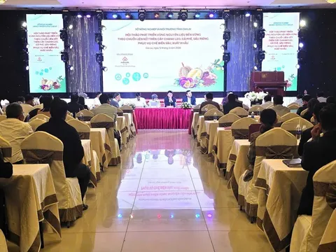 Phát triển vùng nguyên liệu bền vững: Chìa khóa nâng tầm giá trị nông sản chủ lực