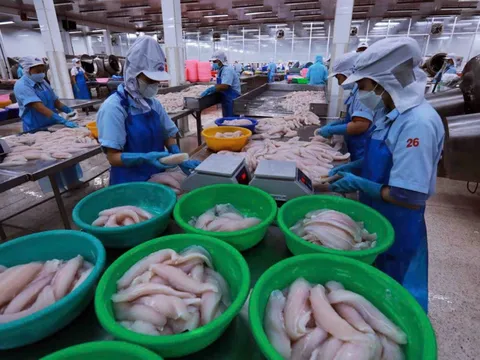 Gọng kìm "chi phí - rào cản": Thủy sản Việt trước phép thử sinh tồn tại thị trường Hoa Kỳ