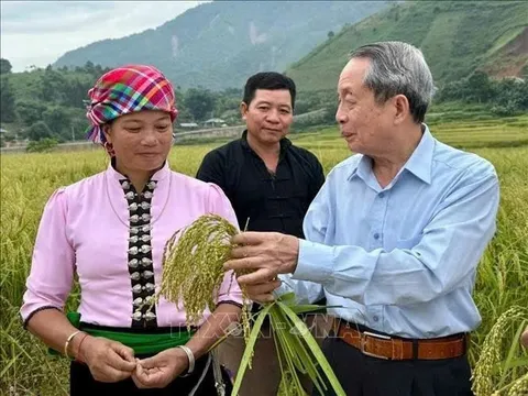 Hành trình của "Giáo sư đẻ ra cỏ": Từ tư duy khoa học đến khát vọng kiến tạo nền chăn nuôi tự chủ