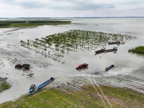Tây Ninh: Lời giải cho bài toán nâng cao giá trị nông sản từ mô hình liên kết "kiềng ba chân"