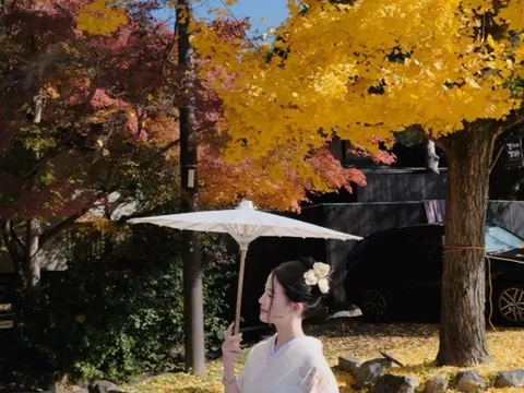 Bỏ túi mẹo du lịch cực "hời" và những góc check-in ít người biết tại Nhật Bản