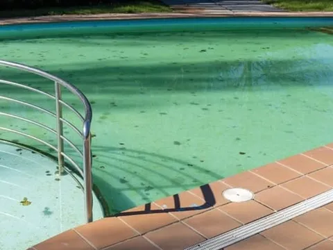 Thiệt hại doanh thu khi bể bơi bị tảo - Vì sao khách hàng “quay lưng” mùa hè?