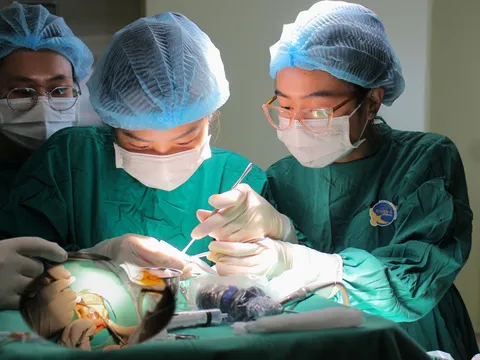 Thủng màng nhĩ do viêm tai giữa kéo dài