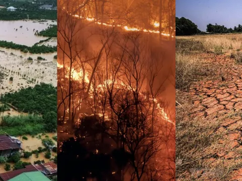 Biến đổi khí hậu ảnh hưởng đến Việt Nam ra sao và vai trò của công ty vệ sinh môi trường Thịnh Phát