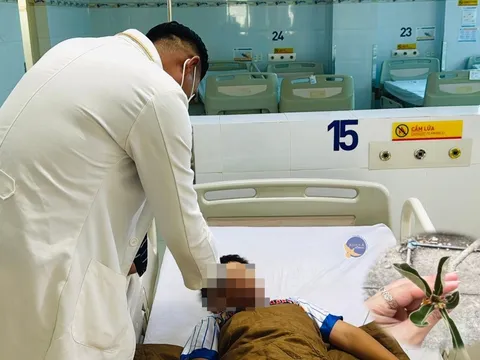 Mủ hoa sứ gây rối loạn nhịp tim, hai trẻ nhập viện cấp cứu