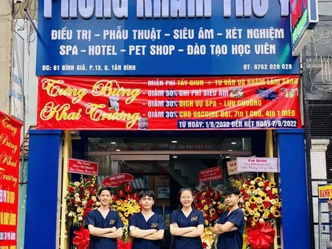 Dịch vụ grooming thú cưng Tân Bình: Tắm, cắt lông, spa – ở đâu tốt?