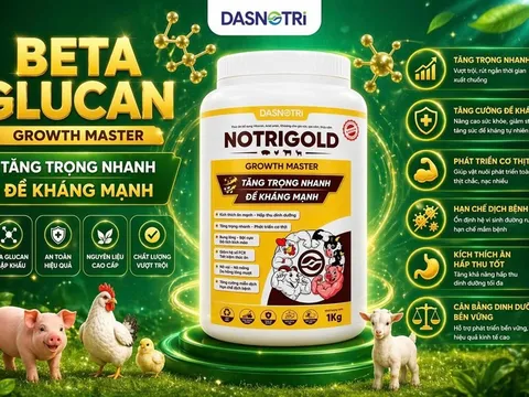 DASNOTRI - Giải pháp vàng cho chăn nuôi bền vững và hiệu quả