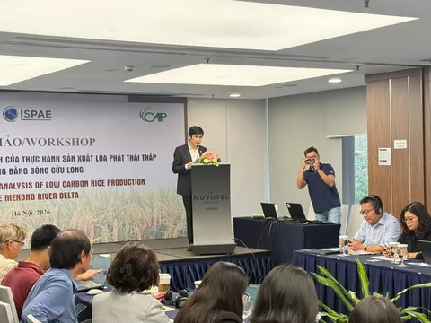 Thúc đẩy sản xuất lúa phát thải thấp: Cần hoàn thiện cơ chế, chính sách và mở rộng chuỗi giá trị