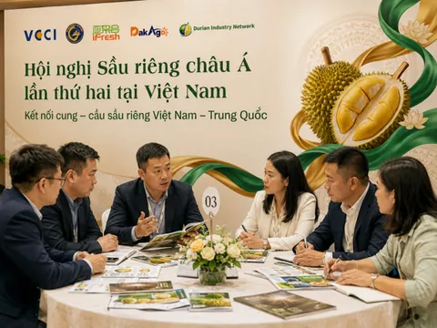 Hội nghị Sầu Riêng châu Á lần thứ 2: Điểm hẹn chiến lược nâng tầm chuỗi cung ứng chính ngạch Việt - Trung