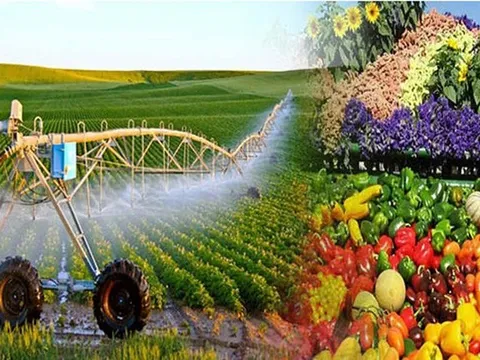 Suy ngẫm về chiến lược phát triển nông thôn trong điều kiện mới: Kinh nghiệm của Mỹ, Hàn Quốc, Nhật Bản và gợi ý cho Việt Nam
