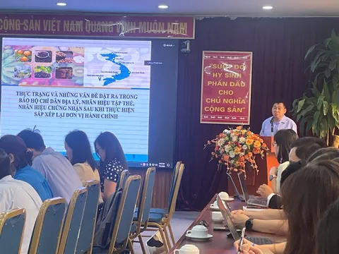 Hội thảo đề xuất giải pháp tháo gỡ khó khăn trong đăng ký, quản lý chỉ dẫn địa lý, nhãn hiệu tập thể, nhãn hiệu chứng nhận sau khi thực hiện chính quyền địa phương hai cấp