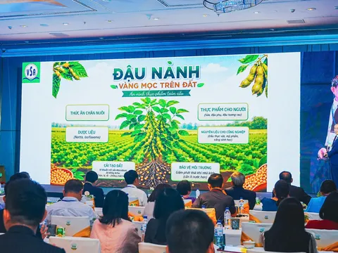 Đậu nành - ‘vàng mọc trên đất’