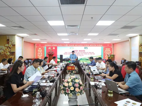 Sơn La: Góp ý, hoàn thiện hồ sơ đăng ký nhãn hiệu chứng nhận “Thịt trâu Sơn La” và “Thịt bò Sơn La”