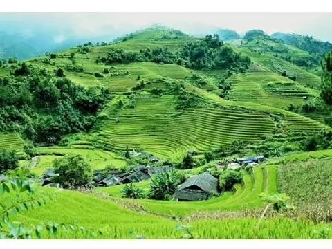 Cơ sở lý luận, thực tiễn và định hướng chiến lược của Đảng về phát triển nông nghiệp sinh thái, xanh và tuần hoàn