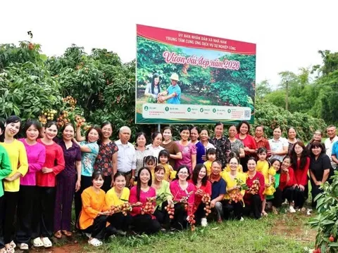 CHỨNG NHẬN CHỈ DẪN ĐỊA LÍ “TÂN YÊN” - ĐÒN BẨY NÂNG TẦM ĐẶC SẢN VẢI CHÍN SỚM BẮC NINH