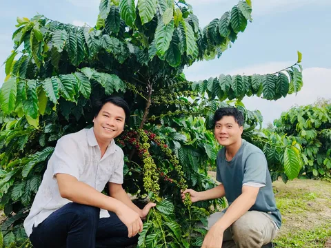 Thoát khỏi vòng xoáy "được mùa mất giá": Lời giải nào cho nông sản Việt?
