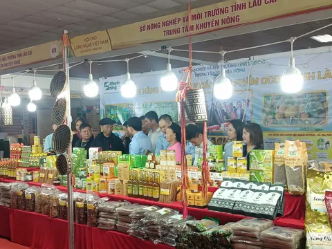 Lào Cai đưa hơn 98 sản phẩm OCOP, nông sản đặc trưng đến gần hơn với thị trường