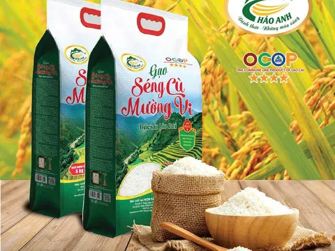 Nông dân Việt Nam xuất sắc nâng tầm gạo Séng Cù Mường Vi đạt chuẩn OCOP