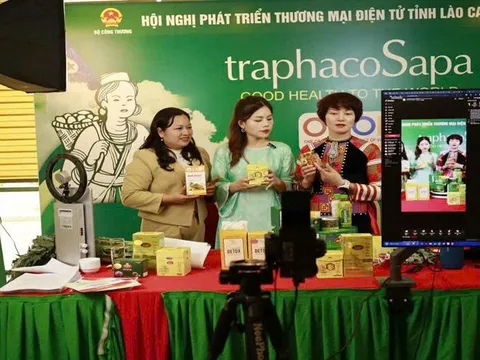 Xúc tiến thương mại mở đường cho nông sản Lào Cai vươn xa