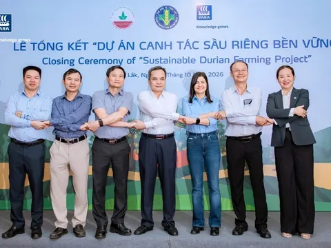 Lan tỏa thành công mô hình sầu riêng bền vững tại Đắk Lắk