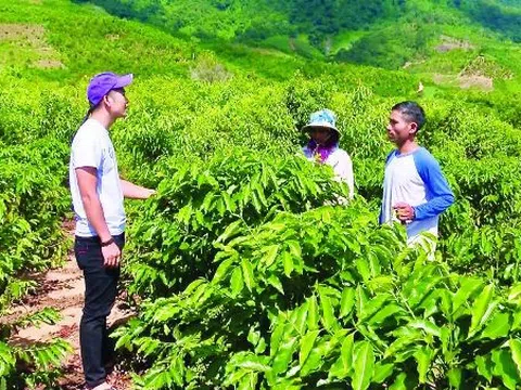 HƯỚNG TỚI NÔNG NGHIỆP SINH THÁI, NÔNG THÔN HIỆN ĐẠI, NÔNG DÂN CHUYÊN NGHIỆP, VĂN MINH