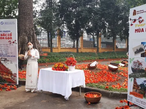 Chương trình du lịch ‘Bác Cổ - Mùa hoa gạo’ giúp du khách trải nghiệm văn hóa làng trong phố