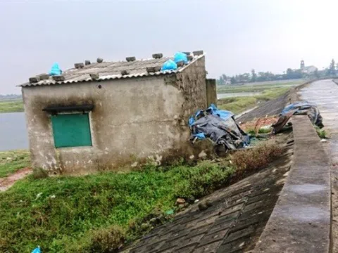 Hơn 51.000  vụ vi phạm công trình thủy lợi bị phát hiện