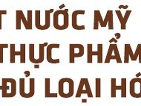 Hơn 100 năm trước, người Mỹ giải quyết vấn nạn thực phẩm bẩn, giả và ngâm hóa chất thế nào?
