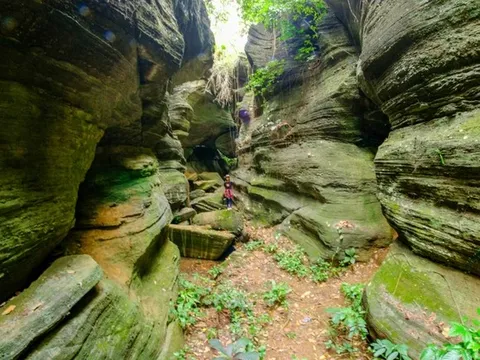Lạc vào ‘kỷ Jura’ đậm chất phiêu lưu ở hang động Quảng Nam ít người đặt chân đến