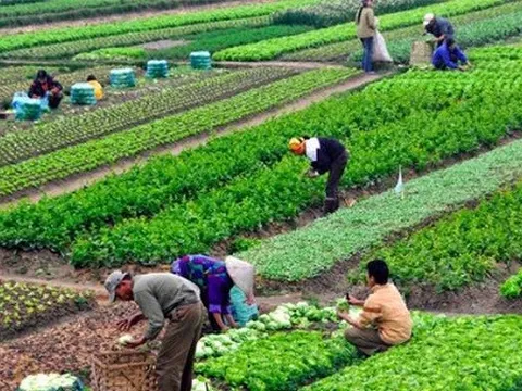 Chương trình hỗ trợ lãi suất 2%: Ngân hàng thương mại cần các bộ ngành cùng vào cuộc