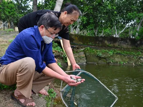 Chuyện một ông Giám đốc HTX già chưa chịu nghỉ ngơi