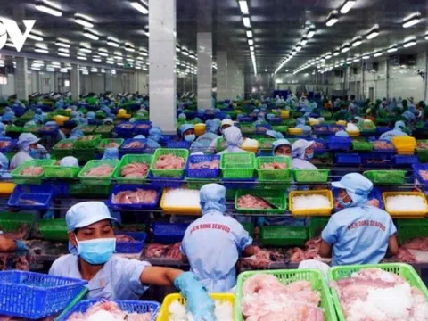 Tái bản và phát hành “Bản đồ các doanh nghiệp thủy sản Việt Nam” vào tháng 7 này