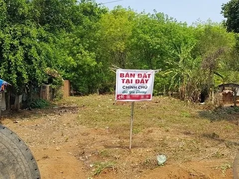 Tan tành giấc mộng làm giàu từ đất nông thôn