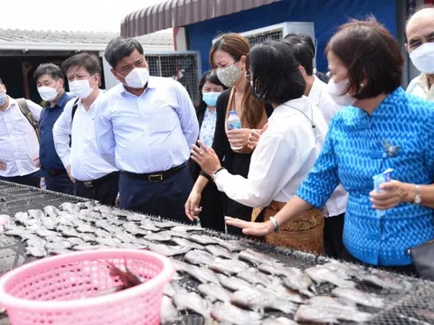 Tham khảo một số chính sách hỗ trợ phát triển HTX nông nghiệp tại Thái Lan