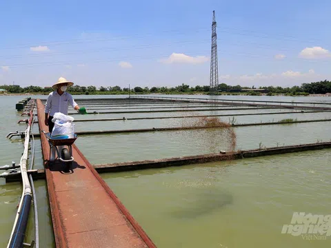 Học miền Nam để chuyên nghiệp nuôi thủy sản phía Bắc