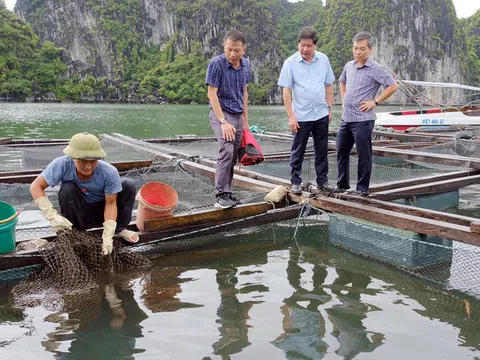 Nơi làm ra 'kết quả thật, giá trị thật' về giống hải sản