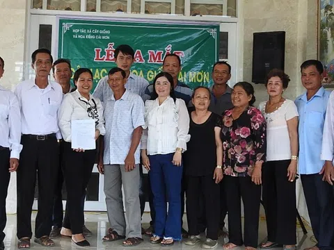 Ra mắt câu lạc bộ hoa giấy Cái Mơn tại Bến Tre