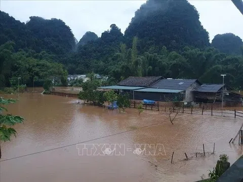 Tập trung ứng phó nguy cơ mưa lũ, sạt lở đất tại khu vực Bắc Bộ