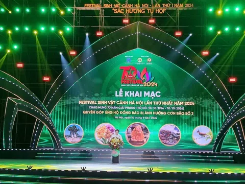 Khai mạc Festival Sinh vật cảnh Hà Nội lần thứ nhất năm 2024