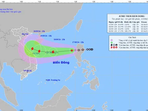 Chủ động ứng phó áp thấp nhiệt đới có khả năng mạnh lên thành bão