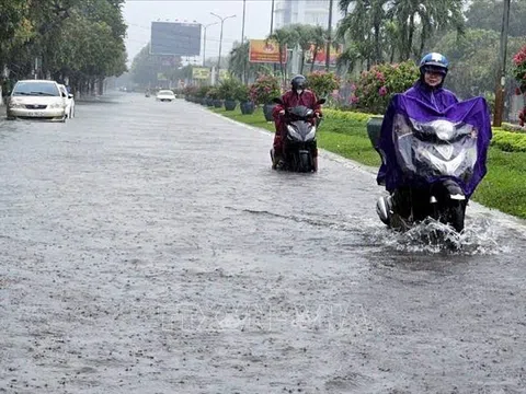 Bộ Nông nghiệp và Phát triển nông thôn chỉ đạo các địa phương Bắc Bộ, Bắc Trung Bộ ứng phó với áp thấp và mưa lớn