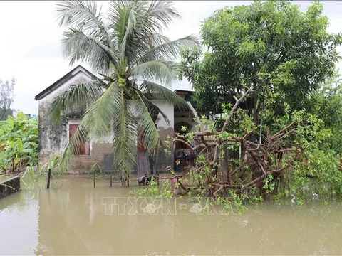 Khẩn trương triển khai phương án ứng phó mưa lớn, khắc phục hậu quả thiên tai